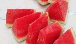 吃瓜网每日大赛,精彩对决，谁将脱颖而出？